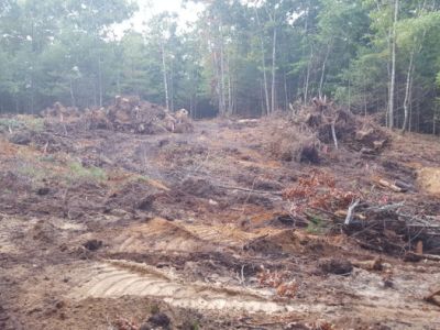 land clearing